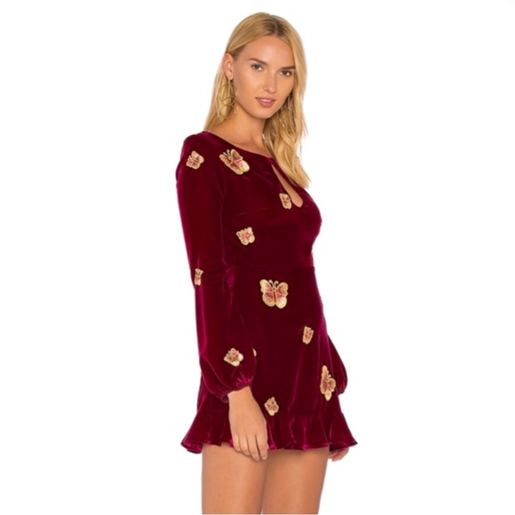 NEW FOR LOVE AND LEMONS REVOLVE EMBROIDERED LONG SLEEVE VELVET MINI DRESS - Picture 4 of 12
